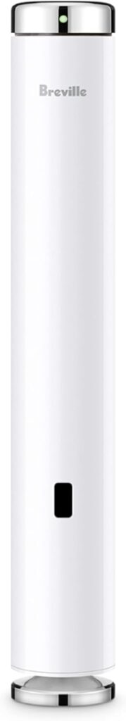 Breville BSV600PSS Joule Turbo Sous Vide Machine